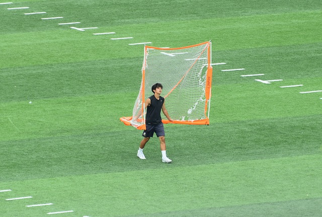 他们的表现